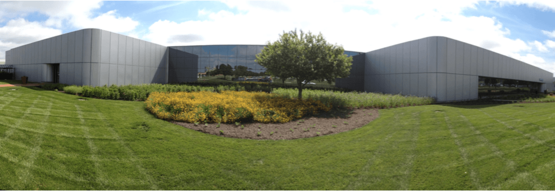 GM Native Wildflower Habitat