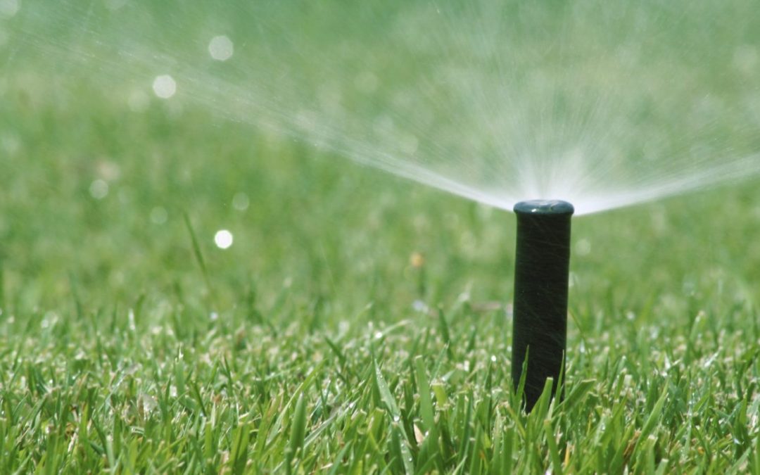 smart irrigation