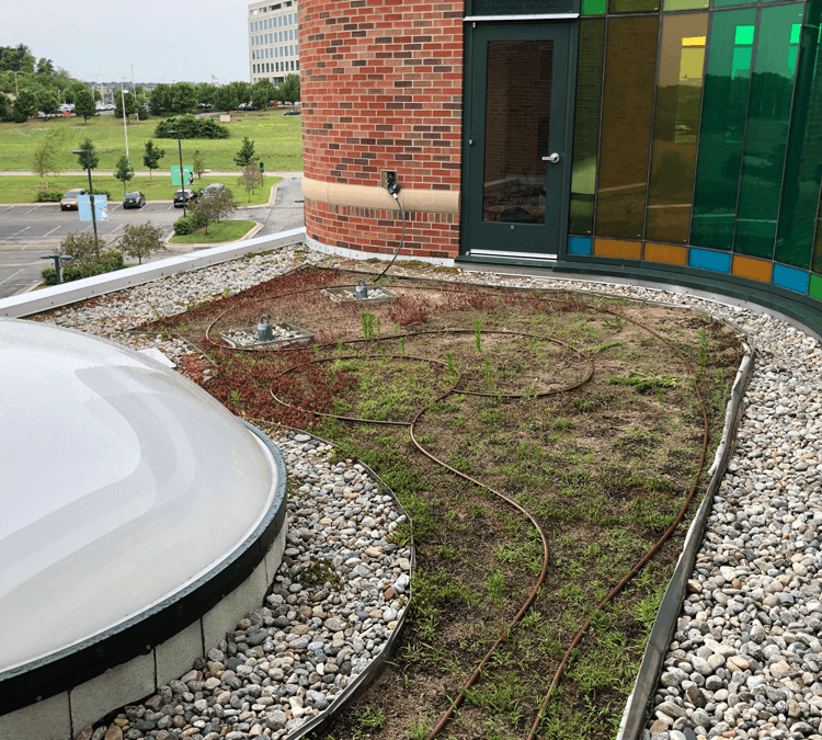 Roof Landscape Installation – Children’s Mercy Hospital Kansas